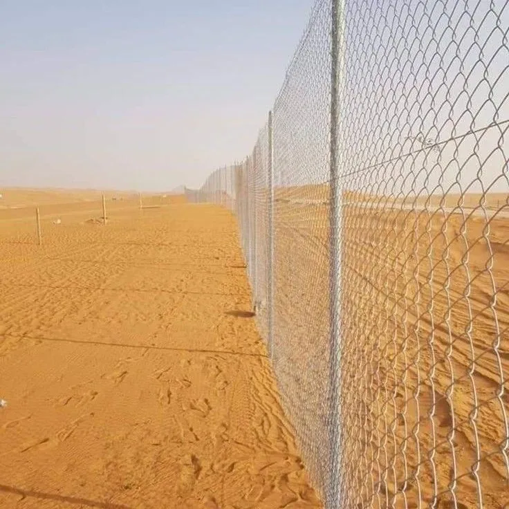 الشبوك والأسوار